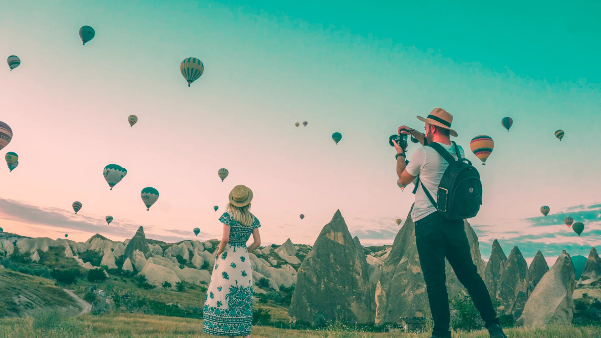 How to book a day tour in the Daily Trips app