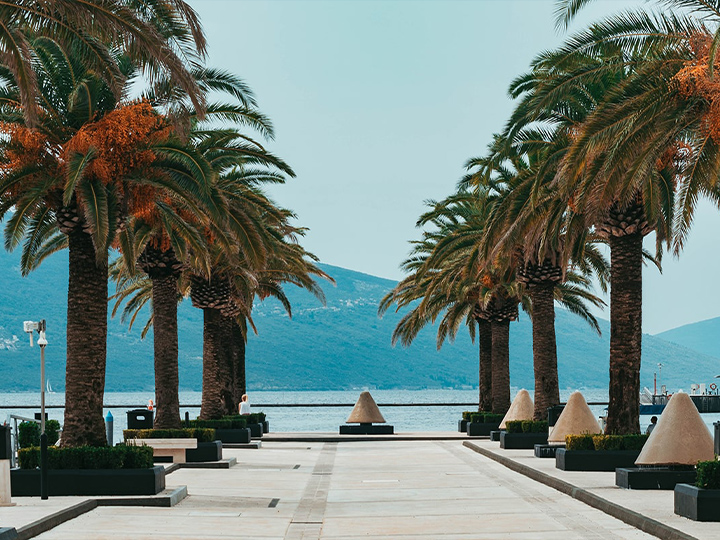 Budva and Tivat (morning)