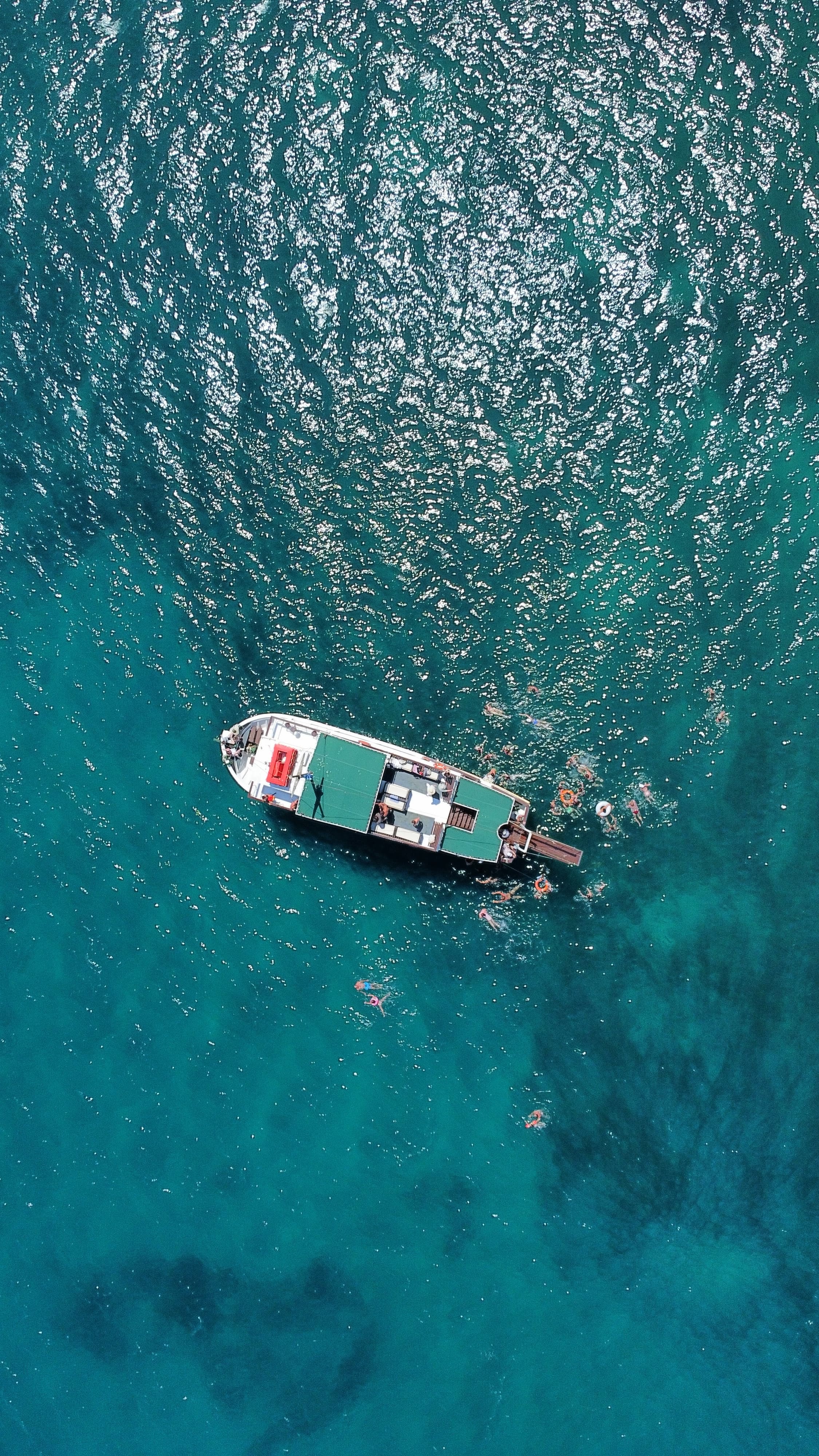 Cruise
